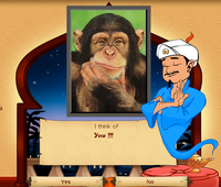 Akinator