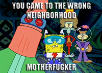 You Came to the Wrong Neighborhood