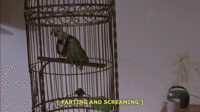 Descriptive Noise