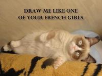 Grumpy Cat