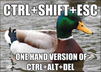 Actual Advice Mallard