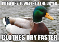 Actual Advice Mallard