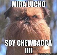 Oye Lucho, El perro del lucho