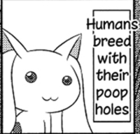 Hentai Quotes