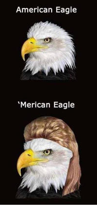 'Murica