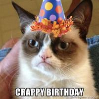Grumpy Cat