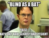 Schrute Facts