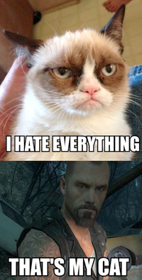 Grumpy Cat