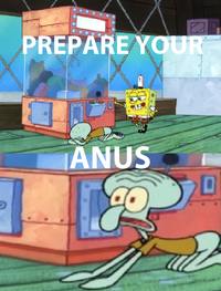 PREPARE YOUR ANUS