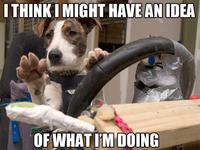 I Have No Idea What I'm Doing