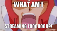 What Am I Fighting For