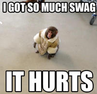 IKEA Monkey