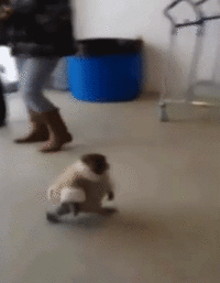 IKEA Monkey