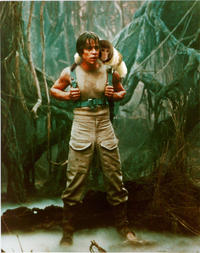 IKEA Monkey