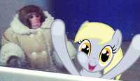 IKEA Monkey