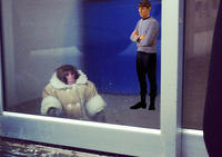 Spock Is Not Impressed