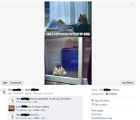IKEA Monkey