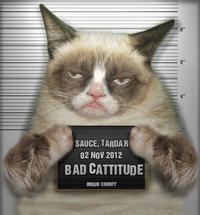 Grumpy Cat