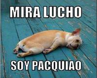 Oye Lucho, El perro del lucho
