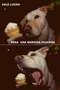 Oye Lucho, El perro del lucho