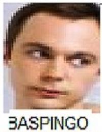 Bazinga