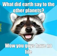 Lame Pun Coon