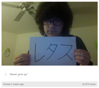 Lettuce / It Says "Never Give Up"