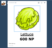 Lettuce / It Says "Never Give Up"