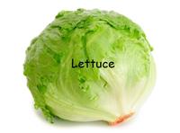 Lettuce / It Says "Never Give Up"