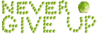 Lettuce / It Says "Never Give Up"