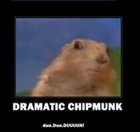 Dramatic Chipmunk / Drama Prairie Dog