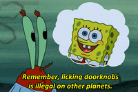 SpongeBob SquarePants