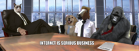 The Internet is Serious Business