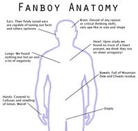 Fanboys