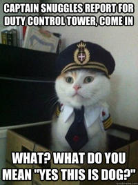 Captain Kitteh