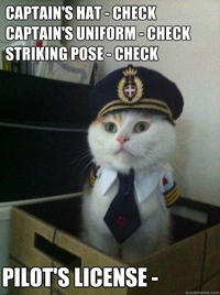 Captain Kitteh