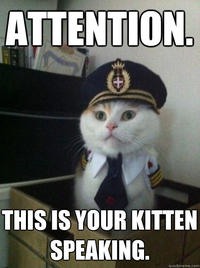 Captain Kitteh