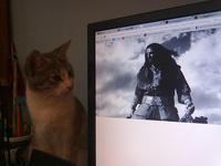 Majestic Thorin