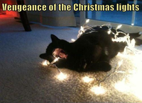 LOLcats