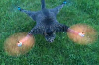 Orvillecopter / Helicopter Cat