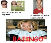 Bazinga