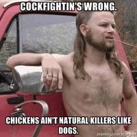 Almost Politically Correct Redneck