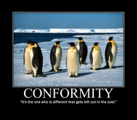 Demotivational Posters