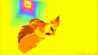 RubberFruit