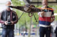 Orvillecopter / Helicopter Cat