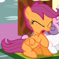 Pony Reactions