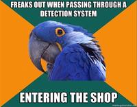 Paranoid Parrot