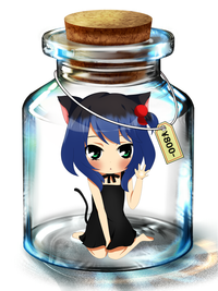 Bottle Meme