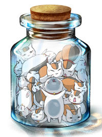Bottle Meme