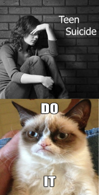 Grumpy Cat